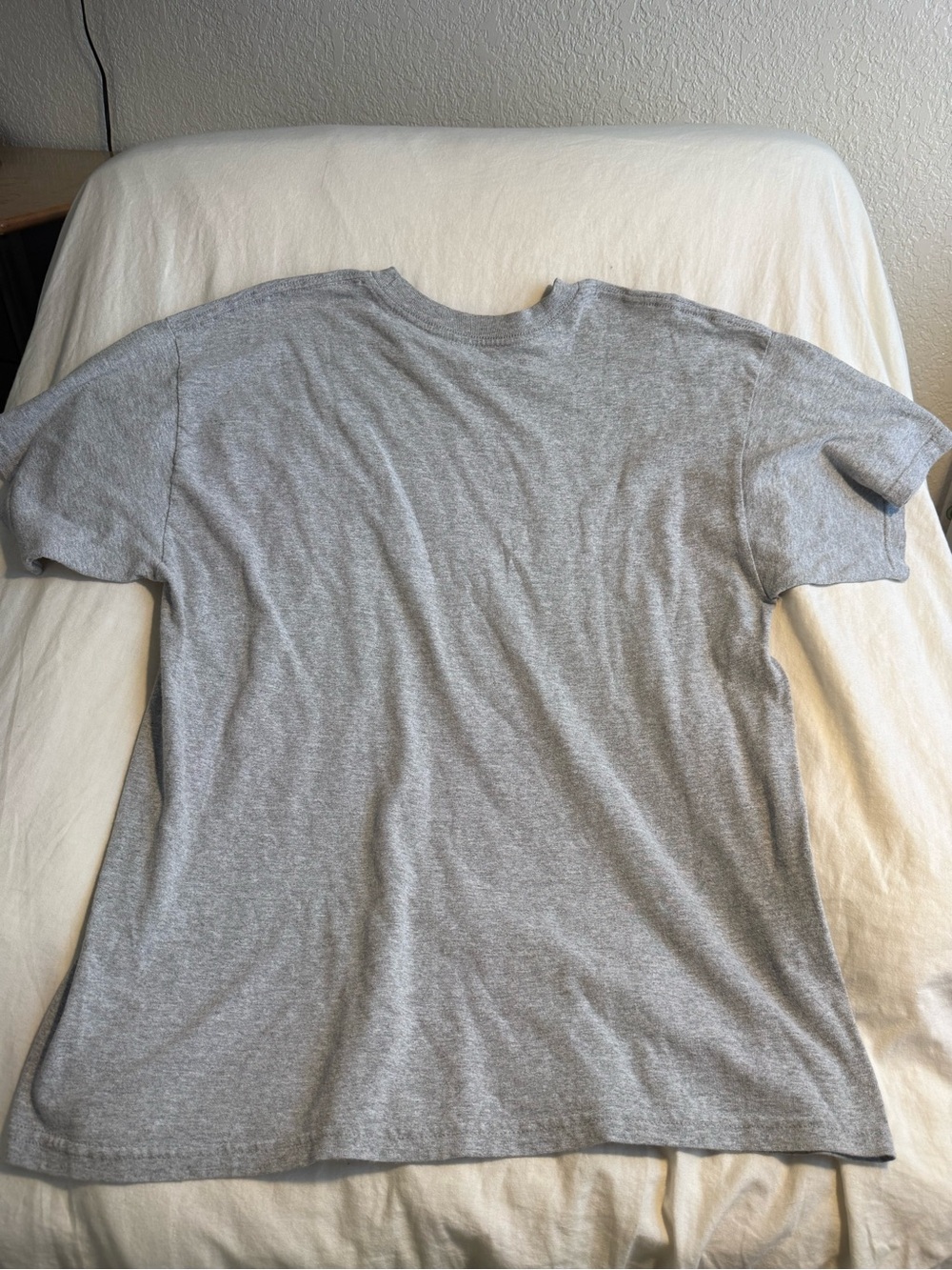 Funny Men's Gray Graphic T-Shirt - 'I Want You To Stop Voting For Idiots” - Picture 3 of 3
